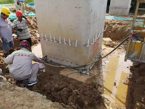 c(din)鿴Ԕ(x)Ϣ(bio)}bʽO(sh) xΔ(sh)3153